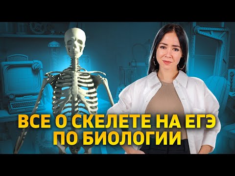 Видео: Скелет человека: все, что нужно знать для ЕГЭ