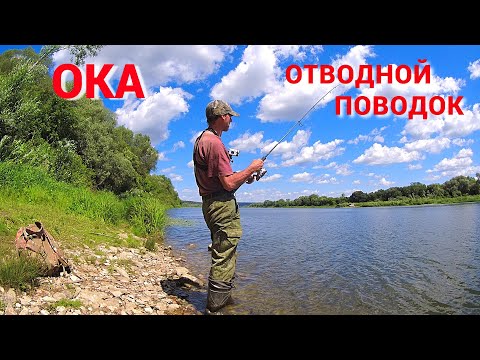 Видео: ОКУНЬ ГЛОТАЕТ "ПУЛЬСАР". Рыбалка на ОКЕ на ОТВОДНОЙ ПОВОДОК.