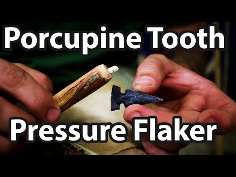 Видео: Скалывание под давлением с помощью зуба дикобраза