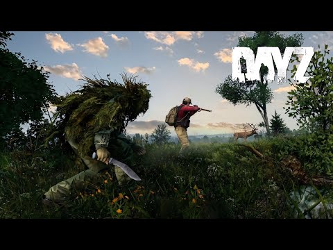 Видео: Один ВЫСТРЕЛ — один ТРУП: Жизнь снайпера в DayZ