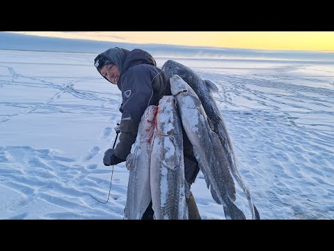Видео: НАЛОВИЛИ РЫБЫ АЖ ДУРНО! УНОСИМ НОГИ ЭТО КОНЕЦ!