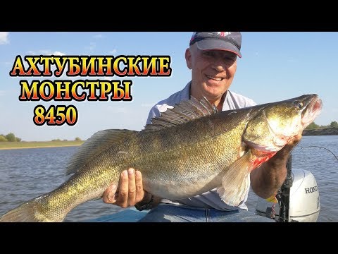 Видео: МОНСТРЫ АХТУБЫ, ЛОВИМ ТРОФЕЙНОГО СУДАКА! Одного поймал дважды ))