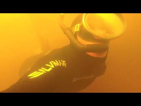 Видео: Подводная охота на Паше 2