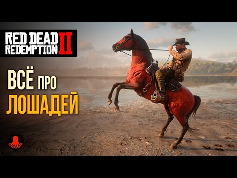 Видео: ВСЁ ПРО ЛОШАДЕЙ в Red Dead Redemption 2 | RDR2