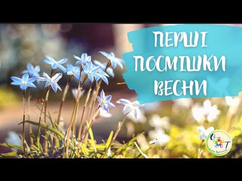 Видео: Перший день весни. Дітям про весну.