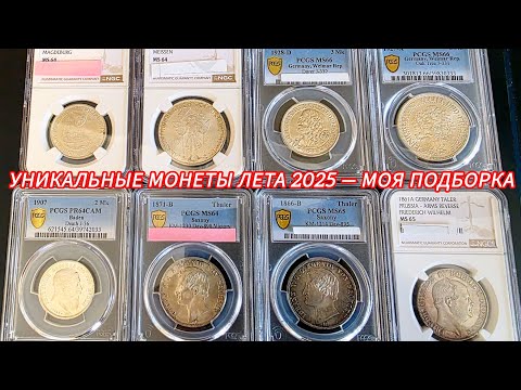 Видео: Что я добавил в коллекцию этим летом — лучшие находки!