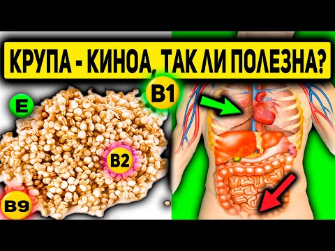 Видео: Крупа КИНОА. Какова Польза и Вред Для Здоровья. Кому нельзя есть киноа? Противопоказания