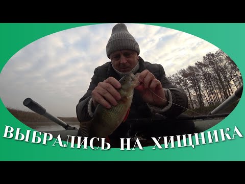 Видео: Рыбалка на хищника