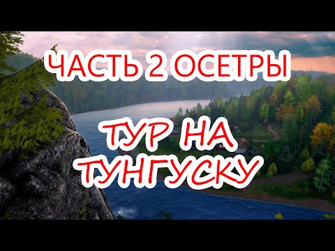Видео: РЕКА НИЖНЯЯ ТУНГУСКА,  ЗА СКОЛЬКО НАФАРМЛЮ 1000 МОНЕТ НА ОСЕТРЕ | РР4 ТУР ПО ВОДОЁМАМ #14.2