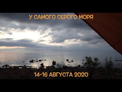 Видео: "У самого Серого моря" - 2020