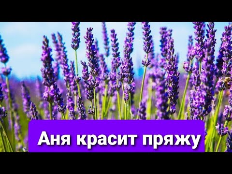 Видео: Как покрасить пряжу?  #Алла_Вяжет