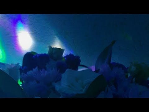 Видео: Какое Событие Спешит В Вашу Жизнь 💃