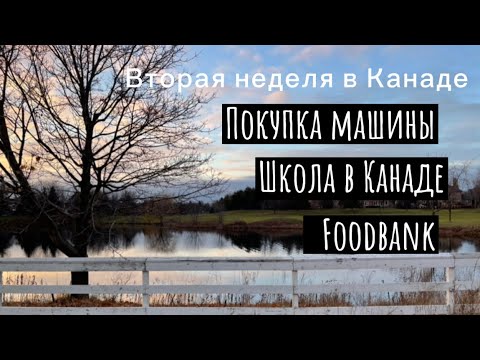 Видео: Покупка машины в Канаде.Где купить машину.Школа в Канаде.Онтарио.Берлингтон.Как экономить в Канаде.
