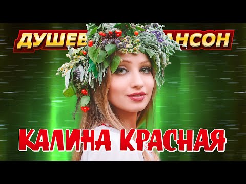 Видео: КАЛИНА КРАСНАЯ. Песни, спетые сердцем @dushevniyshanson