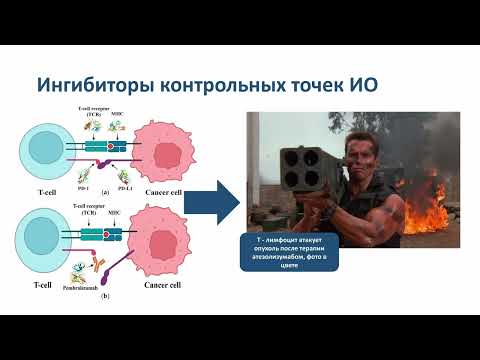 Видео: Преимущества терапии атезолизумаба в раке легкого