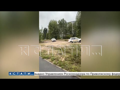 Видео: Чтобы научить курсантов нарушать ПДД автошкола организовала нелегальный автодром