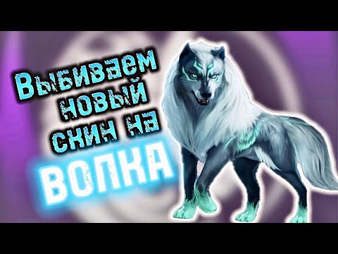 Видео: Выбиваем новый скин на волка #pubg #pubgmobile #пабг