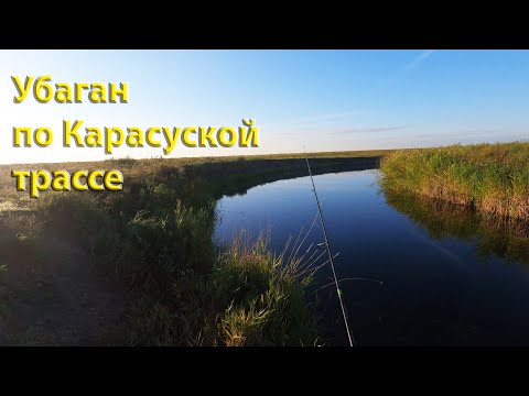 Видео: Рыбалка на Убагане,по карасуской трассе.#рыбалканащуку#щука#убаган#