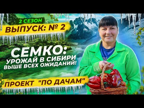 Видео: 🌿 УРОЖАЙ, КОТОРОМУ ПОЗАВИДУЕТ СИБИРЬ! ОГОРОД В НОВОСИБИРСКЕ 🌱 | «ПО ДАЧАМ» | 2 сезон 2 серия