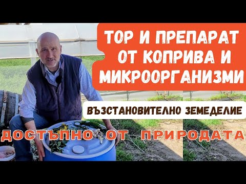 Видео: Ферментирал тор от коприва и микроорганизми - епизод 4