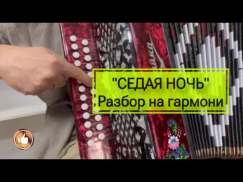 Видео: СЕДАЯ НОЧЬ, Шатунов разбор на гармони