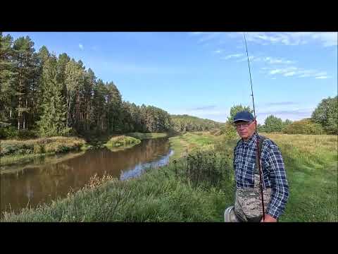 Видео: РЕКА ПЛЮССА / ИЩЕМ НОВЫЕ МЕСТА С КОПТЕРА / ОТДЫХ В ДЕРЕВНЕ