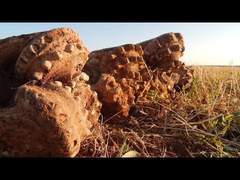 Видео: Сорвал Джек пот. Нашёл не копанное место. Коп металлолома