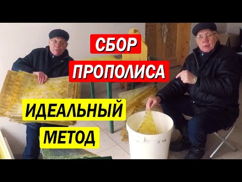 Видео: Сбор прополиса. Простой метод сбора прополиса, который вас УДИВИТ!