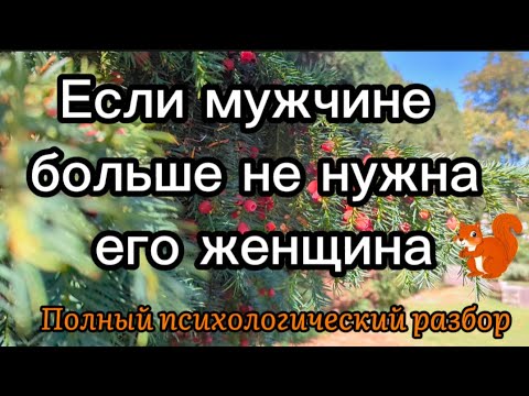 Видео: Если мужчине больше не нужна его женщина, он начинает делать эти вещи