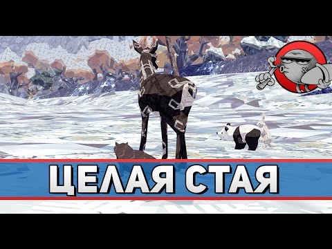 Видео: Meadow #2 - Целая стая