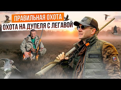 Видео: Один выстрел — одна птица: охота на дупеля с легавой. Секреты охоты на дупеля.