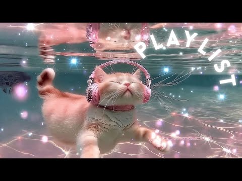 Видео: 🎧 [Плейлист] Ночные вайбы | Джаз и акустика | Пусть музыка расскажет твою историю 🌃🪕