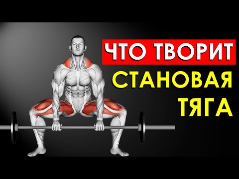 Видео: Что Произойдет с Вашим Телом, Если Делать Становую Тягу