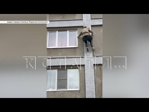 Видео: Зоозащитники пытаются добиться вскрытия квартиры, в которой погибают кошки