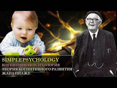 Видео: Когнитивная психология мышления #81. Теория когнитивного развития Жана Пиаже.
