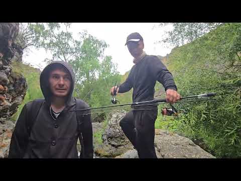 Видео: Раздача ОСМАНА. Горная речушка и много рыбы.#рыбалка #балык #fishing