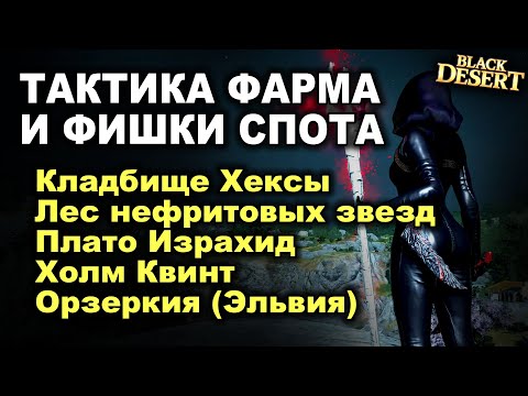 Видео: ГДЕ ФАРМИТЬ (часть 2). Тактика спотов 280-350+. Фарм серебра в БДО (Black Desert)