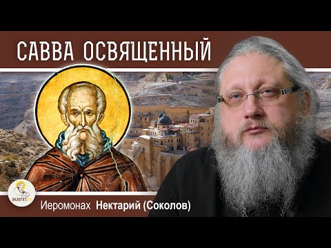 Видео: САВВА ОСВЯЩЕННЫЙ. Иеромонах Нектарий (Соколов)