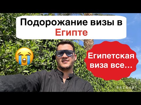 Видео: Виза в Египте подорожала. Уже не то…
