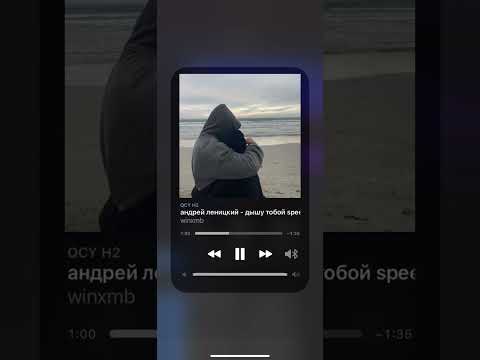 Видео: Андрей Леницкий- дышу тобой