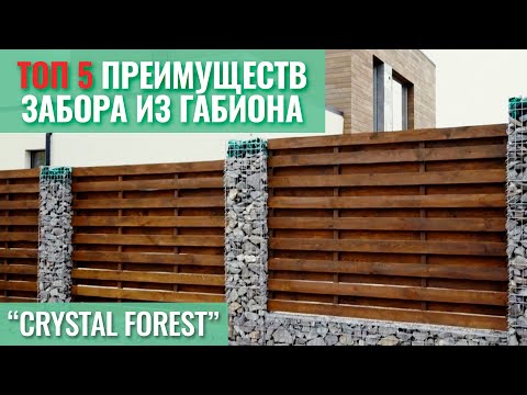 Видео: ТОП-5 преимуществ забора из габиона 🏘 Почему выбрали этот забор? Строительство "Crystal Forest"