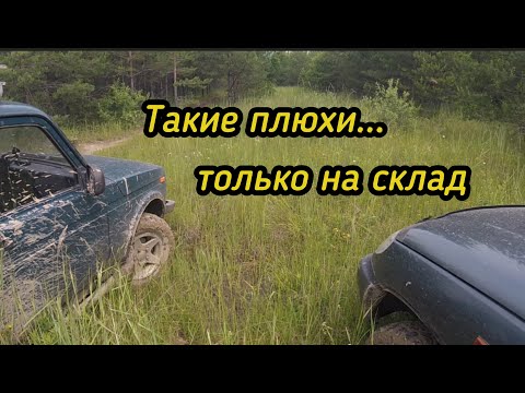 Видео: Такой металл только в копилку!Цена дно..
