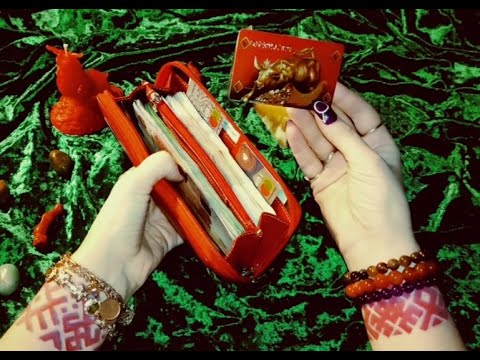 Видео: Шок! Чего нельзя носить в кошельке? Что положить в кошелёк, чтобы привлечь богатство?