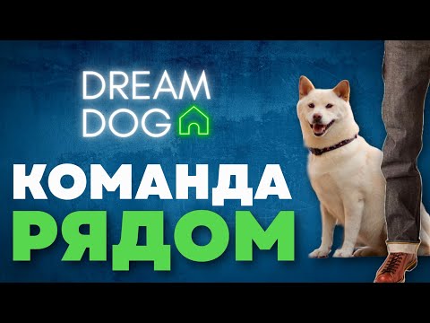 Видео: Как научить собаку команде Рядом 🐶 Пошагово без ошибок