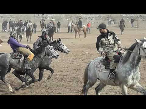 Видео: бузкаши дар дашти чум