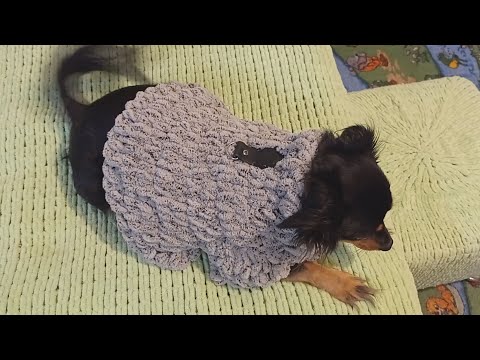 Видео: Пальто из ализе пуффи для собачки.