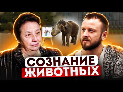 Видео: Сознание животных
