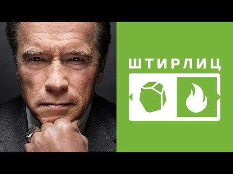 Видео: Штирлиц. Администратор. ЛСЭ. ESTJ. Земля-Огонь. Cоционика