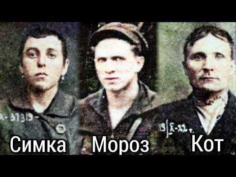 Видео: 😱 "МЯСНИКИ". Как ЛОВИЛИ и КАЗНИЛИ Самую "ОТБИТУЮ" Банду в СССР