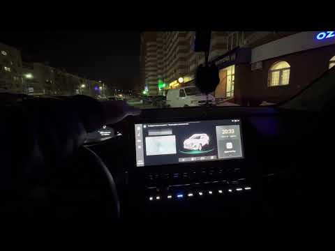 Видео: Changan cs55plus краткий отзыв в мороз